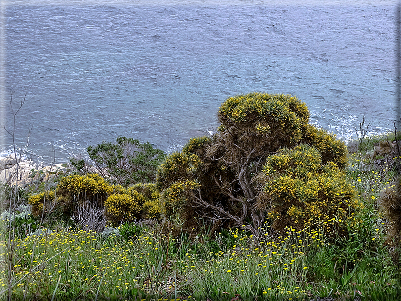 foto Capo Testa